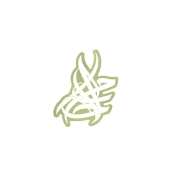 Pins & Accessories | Belal Khaled X Wtp*Wear The Peace Dreams Of Gaza Sticker (WTP X Belal Khaled)