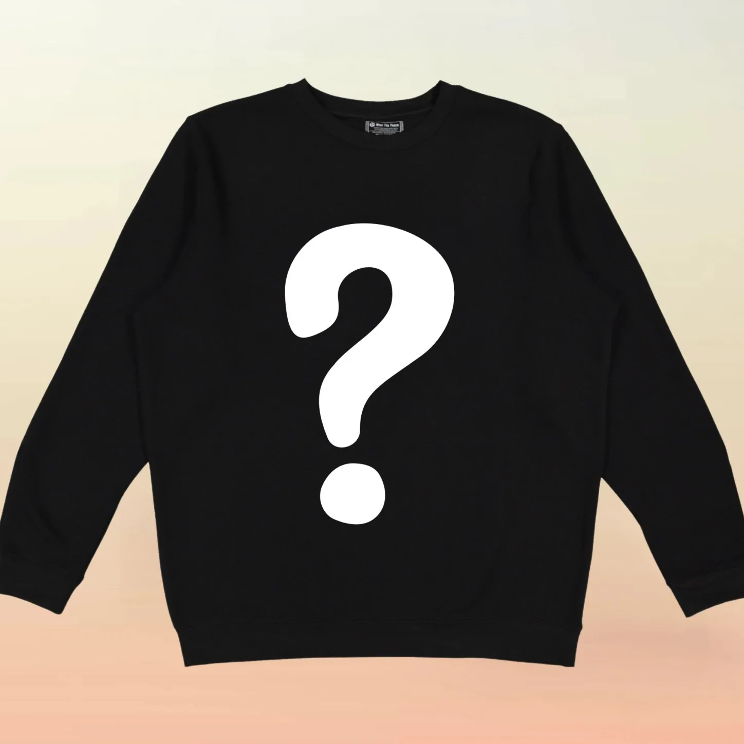 Gifts Under $30 | Mystery Box*Wear The Peace $20 Mystery Crewneck