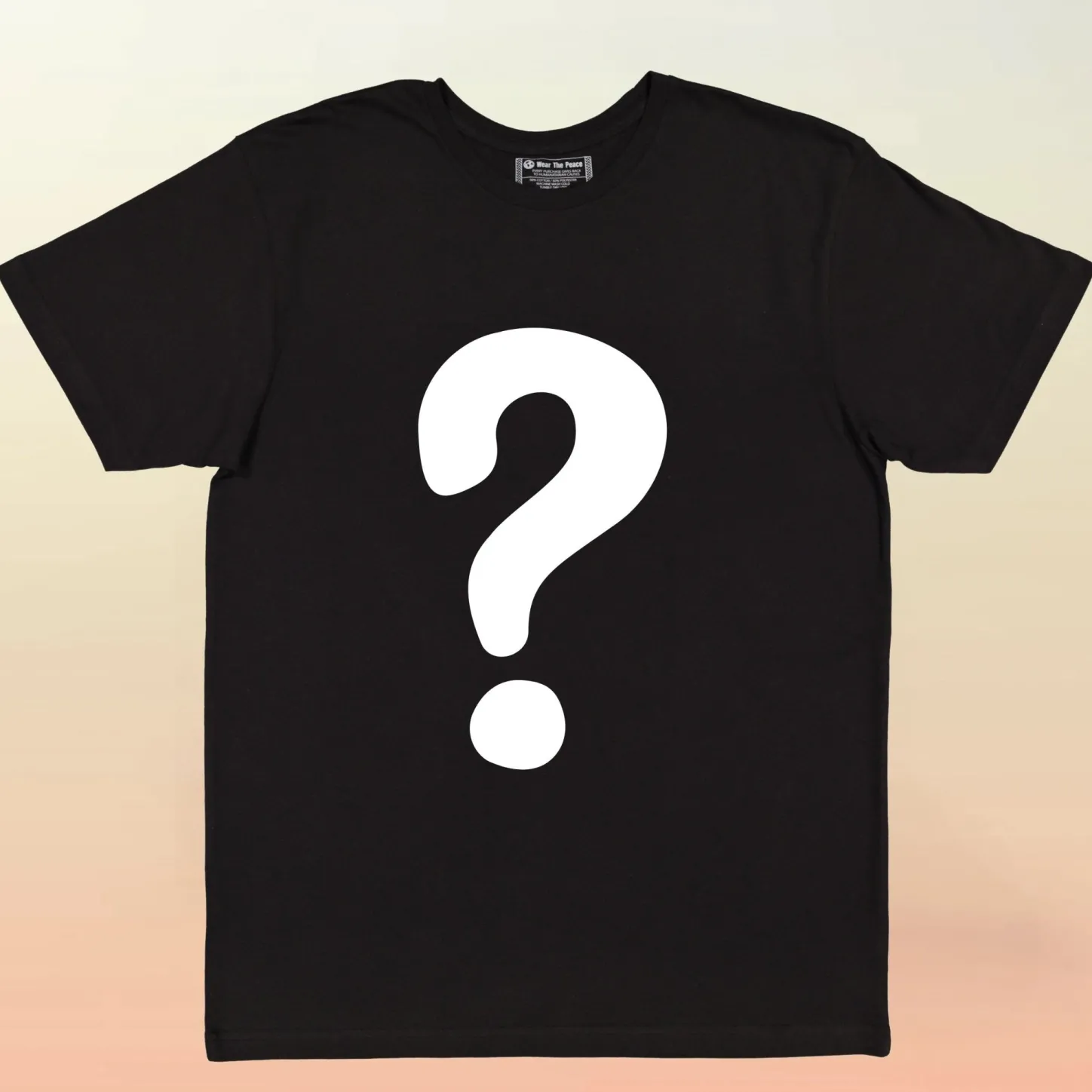 Gifts Under $30 | Mystery Box*Wear The Peace $12 Mystery Tee